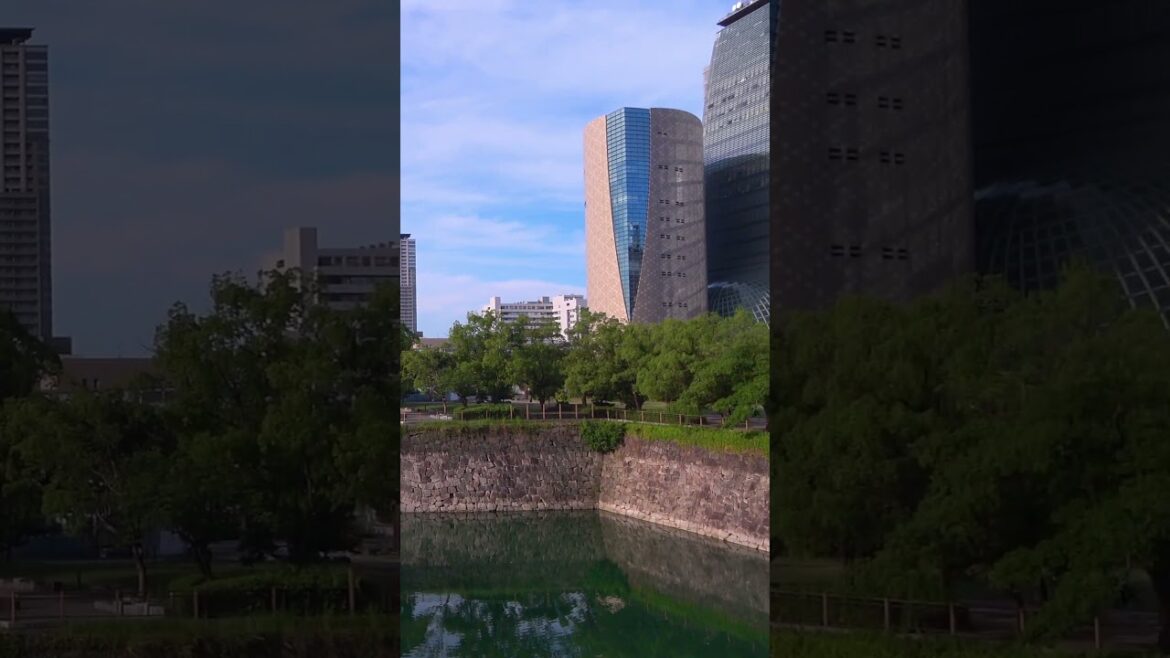 Summer morning walk at Osaka Castle – Osaka – 3 #shorts #walking #japantravel Summer morning walk at Osaka Castle - Osaka - 3 #shorts #walking #japantravel