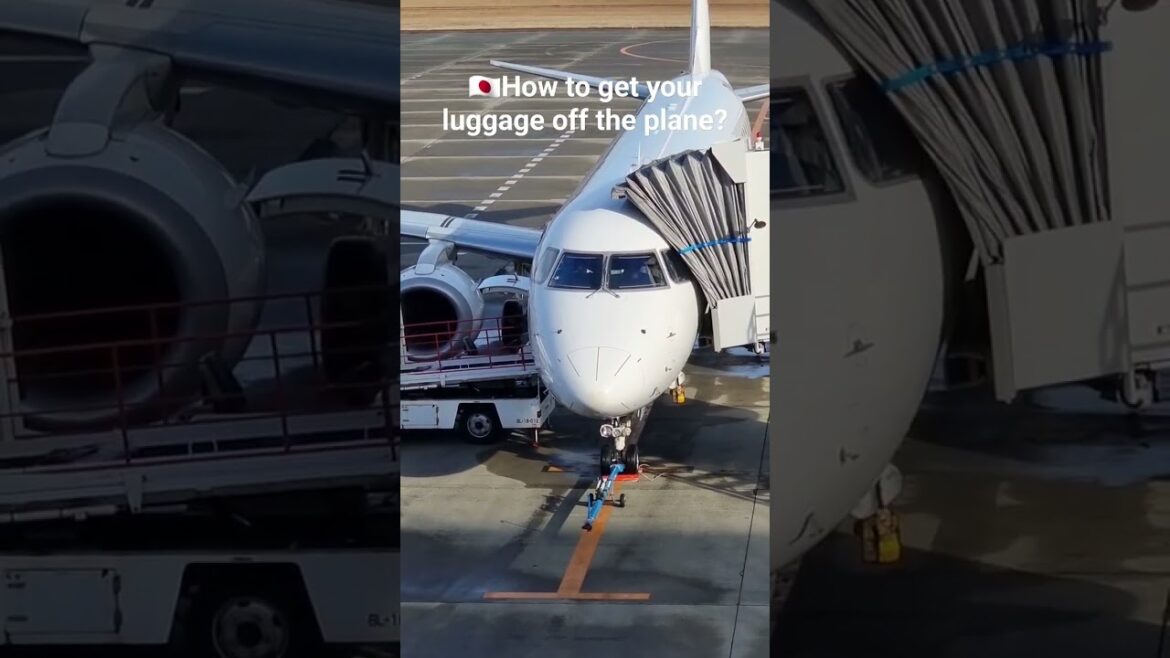 수화물 어떻게 빼는겨? #luggage #sendai #仙台 #수화물 #비행기 #공항 #vlog #travel #여행