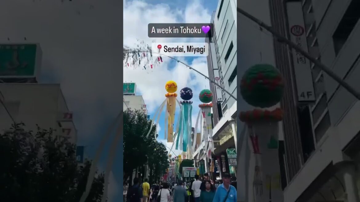 Week in Tohoku, north of Japan in summer #japantrip #tohoku #natureescape