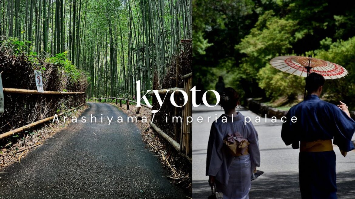 KYOTO vlog/ ARASHIYAMA / IMPERIAL PALACE - kyoto travel diaries