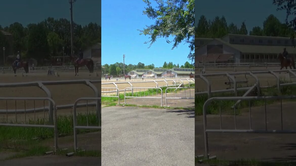 Take a walk in Tsurumi Ryokuchi Park – Osaka – 2 #shorts #walking #japantravel Take a walk in Tsurumi Ryokuchi Park - Osaka - 2 #shorts #walking #japantravel