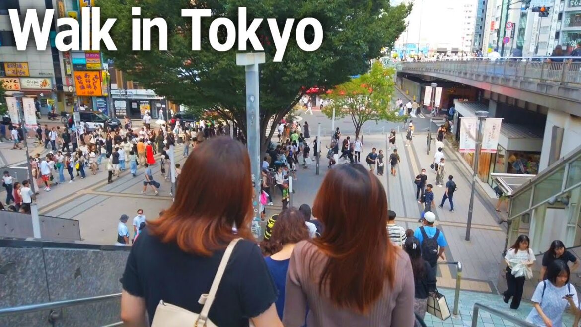 Tokyo Walking Tour - East of Shinjuku Station, a lively commercial area♪ (Aug. 2023)