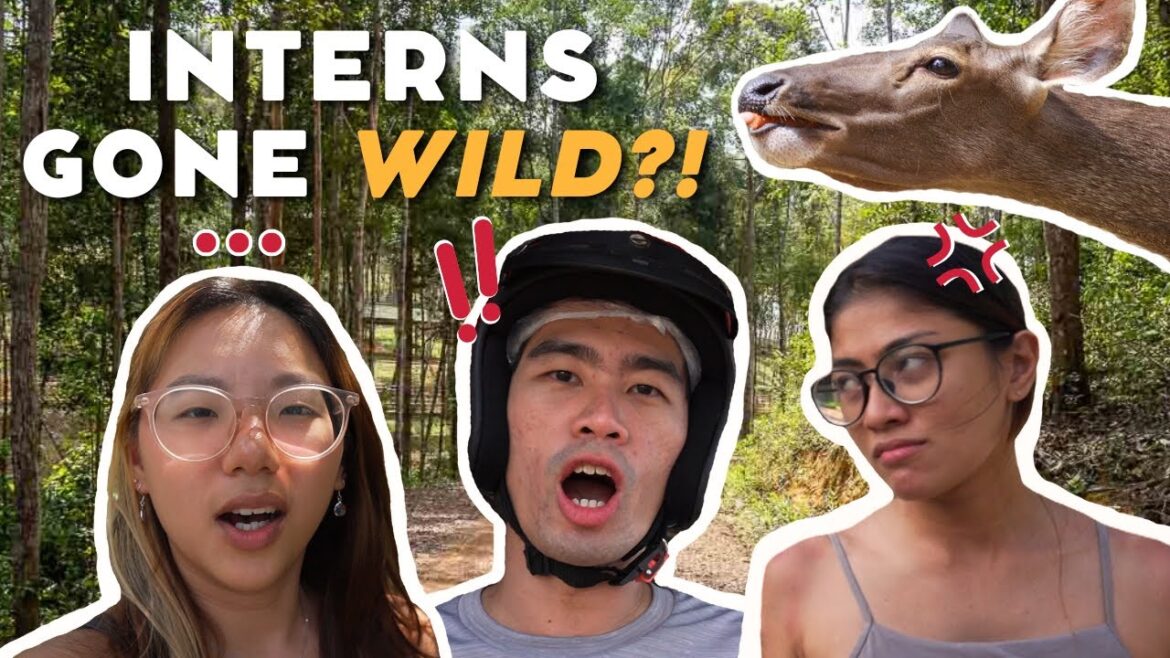 48 Hours ALONE in Batam?! (Challenge Edition)