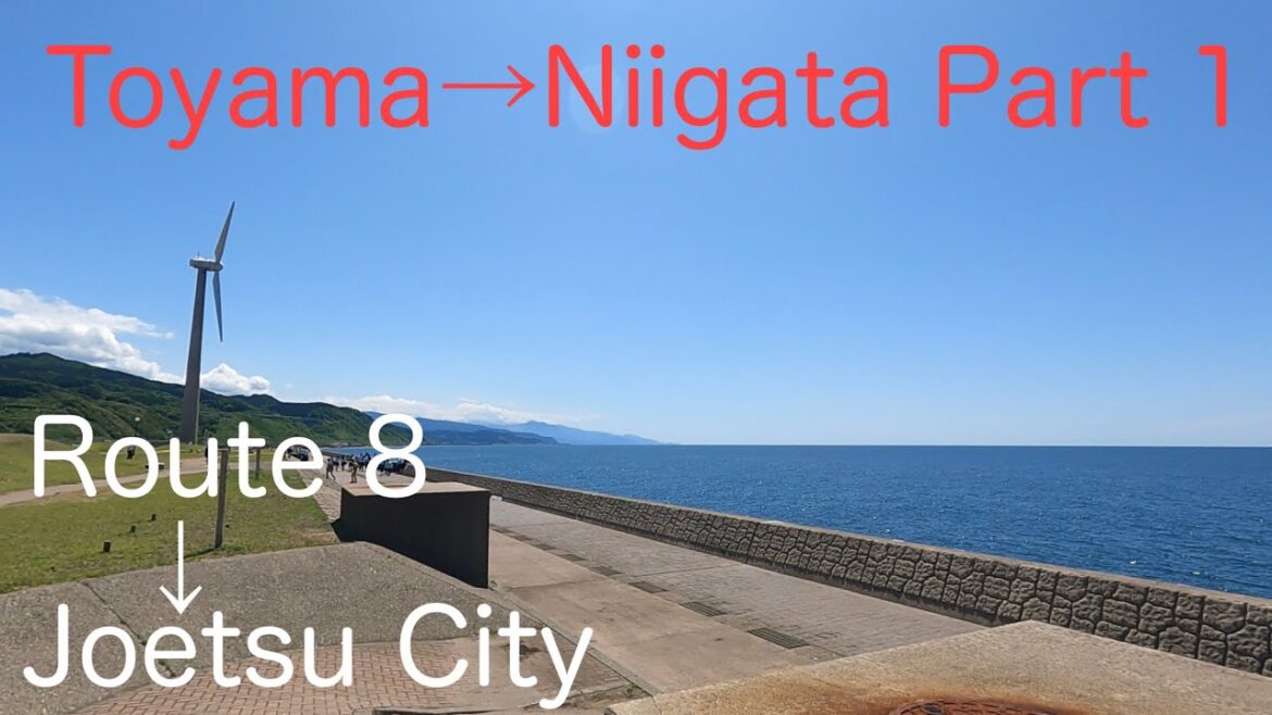 【Japanese truck driver 】Route 8 Toyama →Niigata Part 1