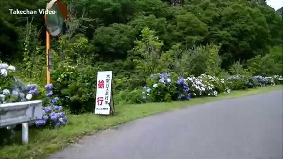 岡山県のアジサイ名所 岡山市 たけべの森公園