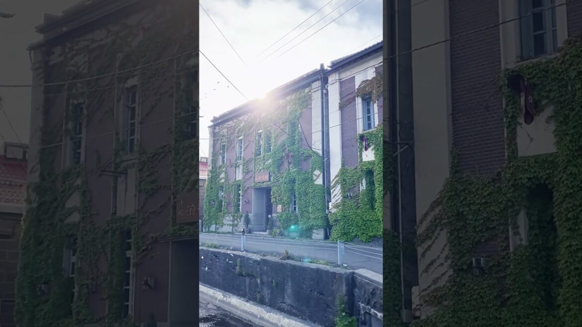 Wind Chimes on the Canal of Otaru #hokkaido Wind Chimes on the Canal of Otaru #hokkaido