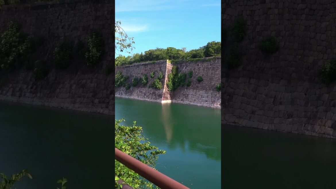 Summer morning walk at Osaka Castle – Osaka – 4 #shorts #walking #japantravel Summer morning walk at Osaka Castle - Osaka - 4 #shorts #walking #japantravel