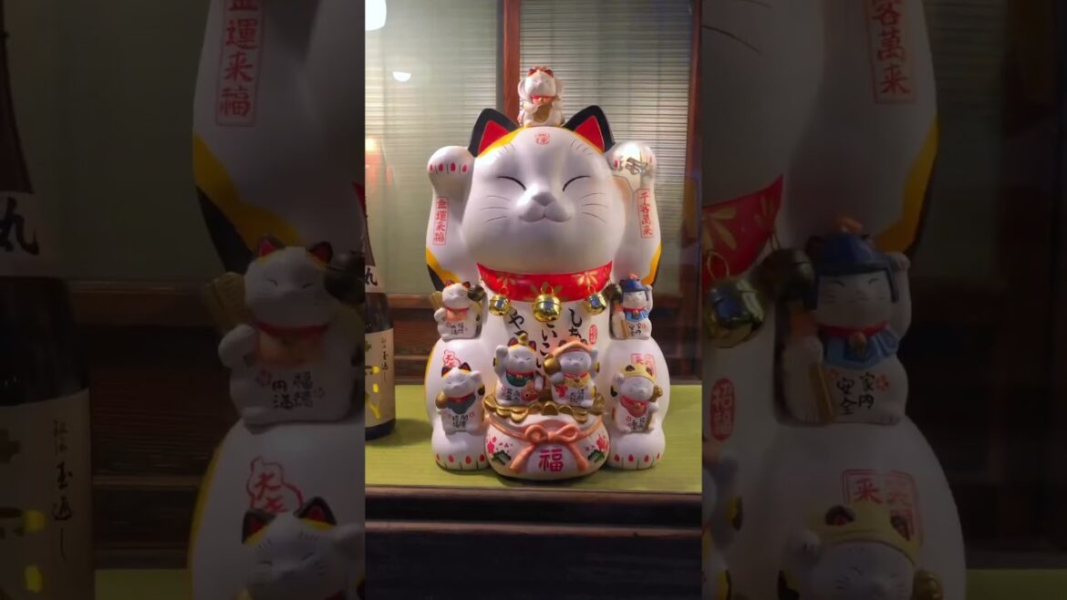 📺 🇯🇵 #japan #short #shorts #travel #vacation #explore #globetrotter #monde #shortsfeed #japanese 📺 🇯🇵 #japan #short #shorts #travel #vacation #explore #globetrotter #monde #shortsfeed #japanese