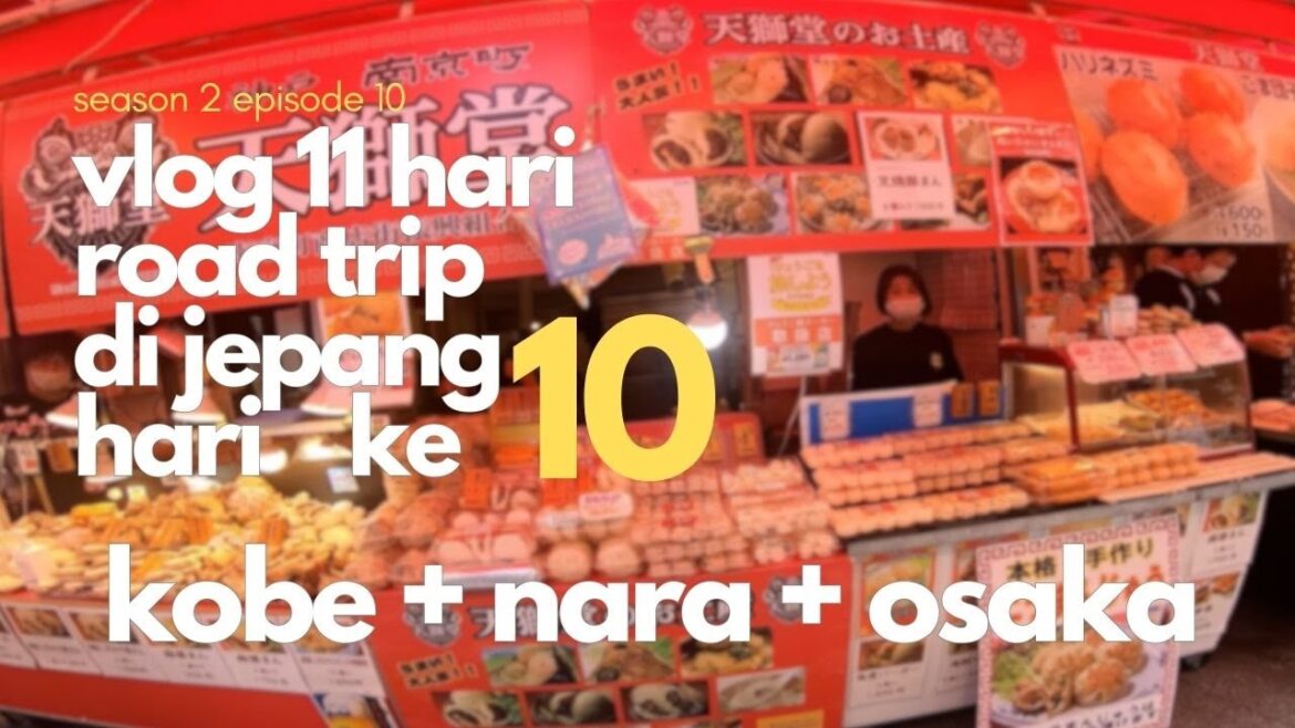 S2E10 VLOG 11 HARI ROAD TRIP DI JEPANG HARI KE 10 KE KOBE CHINA TOWN - NARA - OSAKA KUROMON MARKET