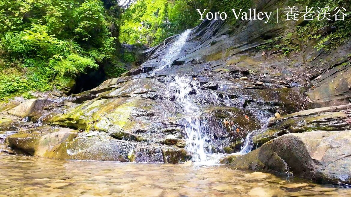 [4K] Waterfall babbling (Yoro Valley, Chiba, Japan) #8 _ [自然音 定点映像] 養老渓谷 (千葉)
