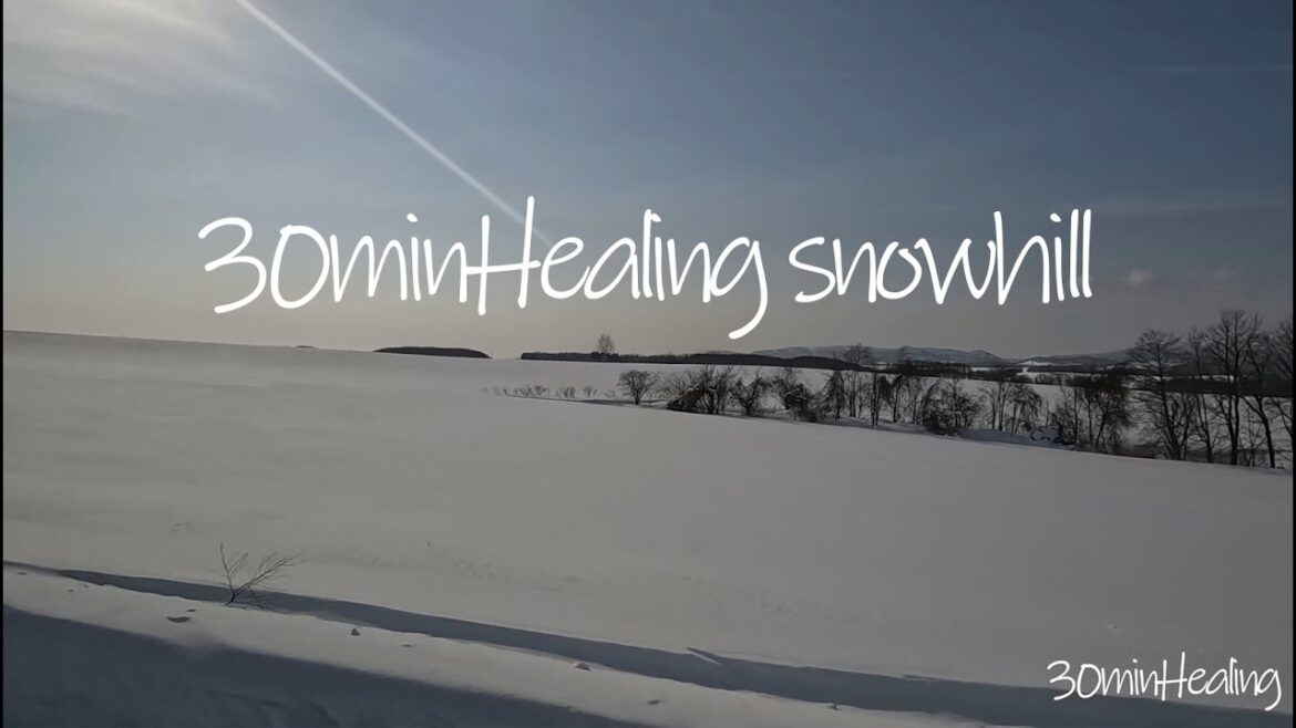 [감성/힐링영상/잔잔한] relax 삿포로 버스투어_Healing video on the BUS tour in Sapporo