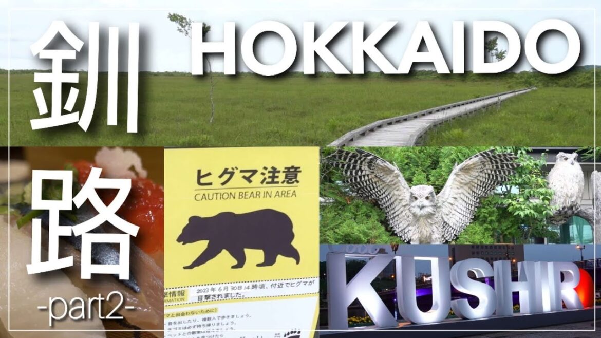 【北海道 釧路】釧路湿原を歩く / 温根内木道 / なごやか亭でお寿司 / 車なし1泊2日の釧路旅行part2 / 旅行vlog 【北海道 釧路】釧路湿原を歩く / 温根内木道 / なごやか亭でお寿司 / 車なし1泊2日の釧路旅行*part2* / 旅行vlog