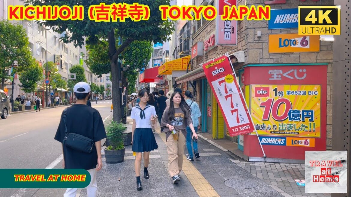 4k hdr japan travel | Walk in Kichijoji (吉祥寺) Tokyo japan | Relaxing Natural City ambience 4k hdr japan travel | Walk in Kichijoji (吉祥寺) Tokyo japan | Relaxing Natural City ambience