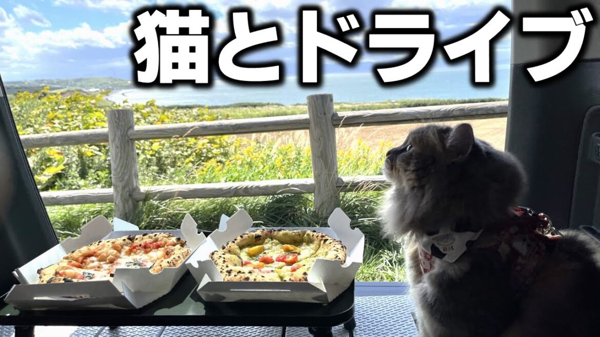 石狩の海を堪能する絶景車中飯! 話題の絶品ピザをいただく猫ドライブ 石狩の海を堪能する絶景車中飯! 話題の絶品ピザをいただく猫ドライブ