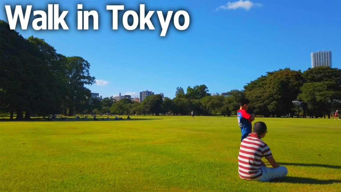 Tokyo Walking Tour - Shinjuku Gyoen and blue summer sky♪ (Aug. 2023)