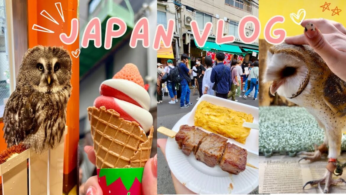 Japan Vlog | Must visit cutest owl and bird cafe | Tsukiji outer market | Our first Kobe beef