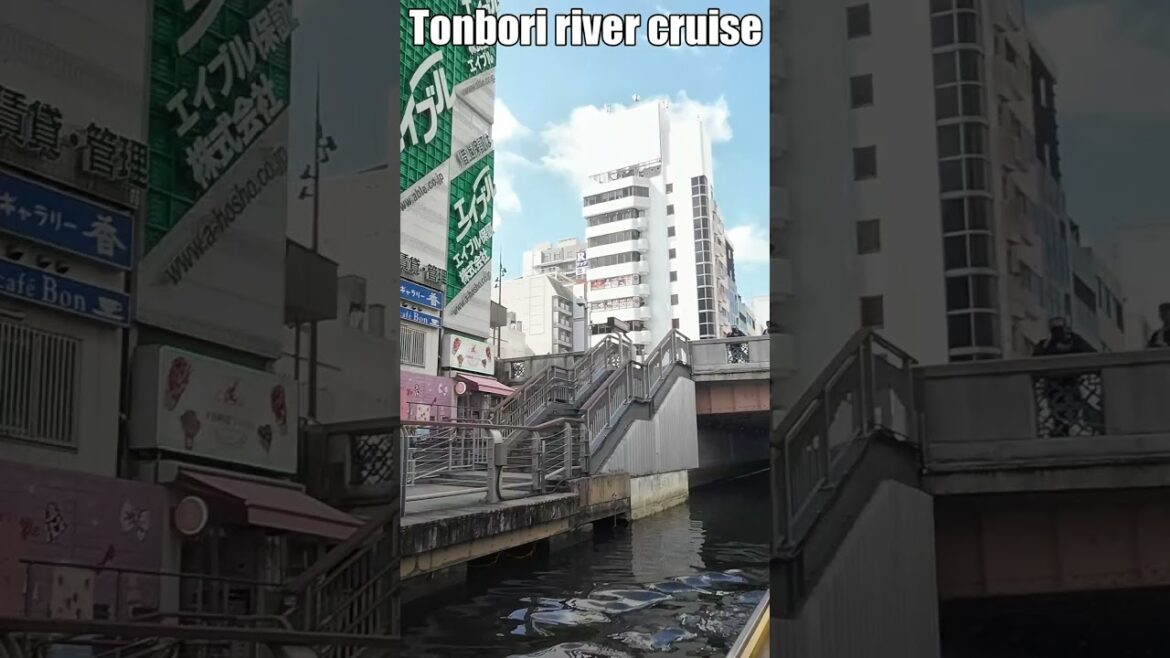 道頓堀　とんぼりリバークルーズ Tombori River Cruise #大阪　#道頓堀 　#とんぼりリバークルーズ　#shorts