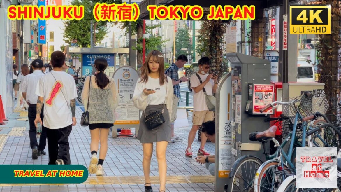 4k hdr japan travel | Walk in Shinjuku(新宿)Tokyo Japan | Relaxing Natural City ambience 4k hdr japan travel | Walk in Shinjuku(新宿)Tokyo Japan | Relaxing Natural City ambience