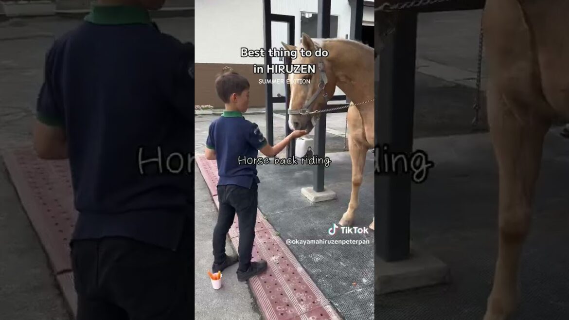 【岡山観光】 Best thing to do in Hiruzen  #shorts  #shortsvideo #shortsyoutube