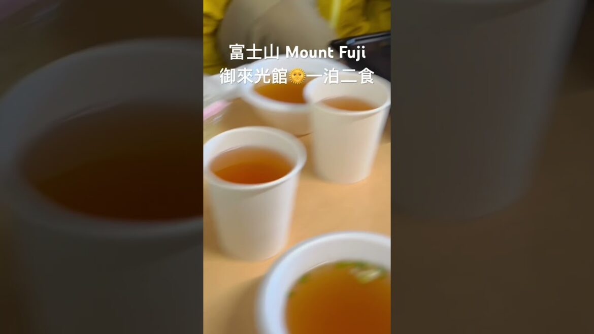 Mount Fuji Goraikoukann 富士山御來光館一泊二食