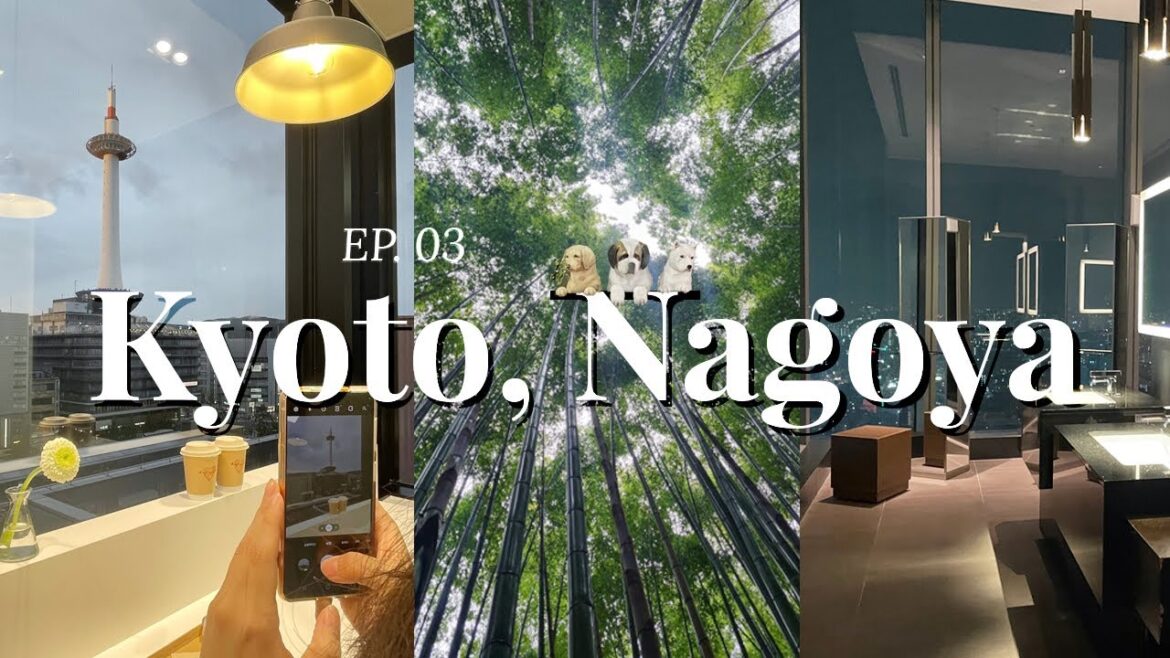 일본 4박 5일 Travel Vlog ✈ | EP.03 교토 아라시야마, 교토에서 나고야 | 교토 소바 맛집, 텐류지, 치쿠린 | 교토타워 뷰 카페 | 신칸센타고 나고야 일본 4박 5일 Travel Vlog ✈ | EP.03 교토 아라시야마, 교토에서 나고야 | 교토 소바 맛집, 텐류지, 치쿠린 | 교토타워 뷰 카페 | 신칸센타고 나고야