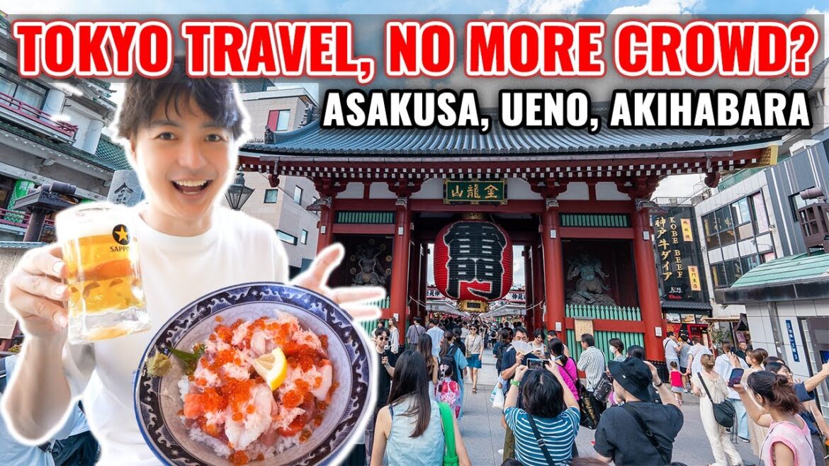 2023 Summer Travel Season is Over! Travel Situation Update from Asakusa, Ueno, Akihabara Ep. 419 2023 Summer Travel Season is Over! Travel Situation Update from Asakusa, Ueno, Akihabara Ep. 419