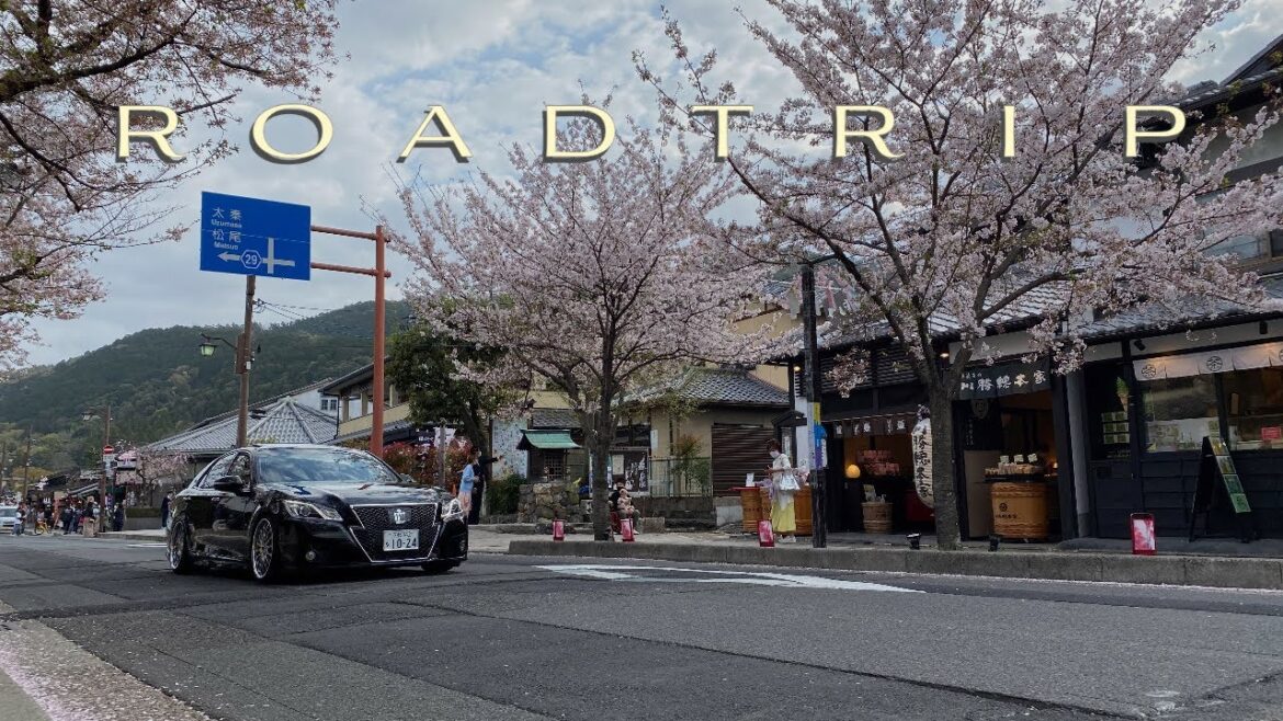 Japanese Truck Stops, Road Trip and Kyoto Air BNB!