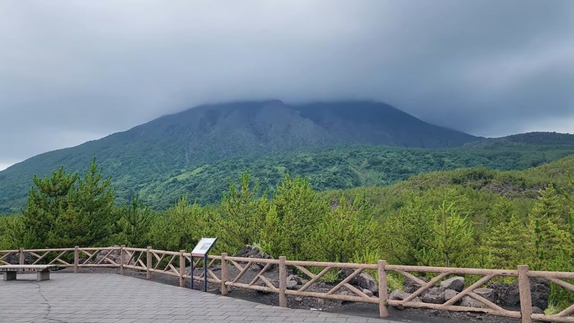 【MIR 的日常角度】🎒旅遊歷🎒有村溶岩展望所(Arimura Lava Observatory) 【MIR 的日常角度】🎒旅遊歷🎒有村溶岩展望所(Arimura Lava Observatory)