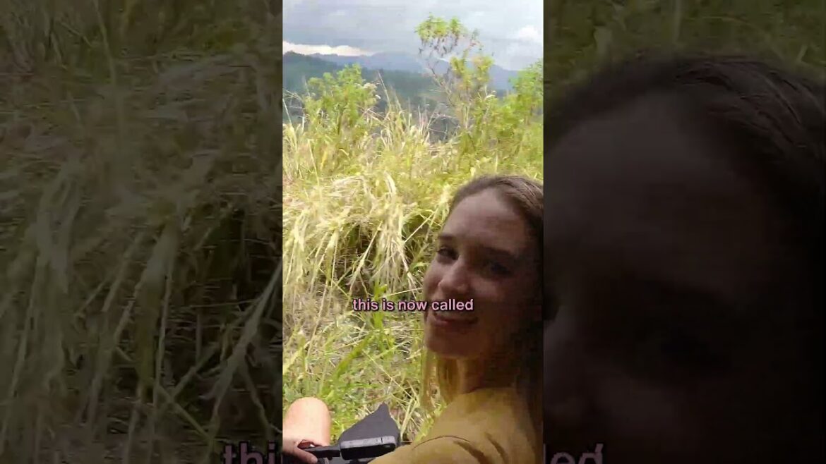 Asia's Most Beautiful Train Ride