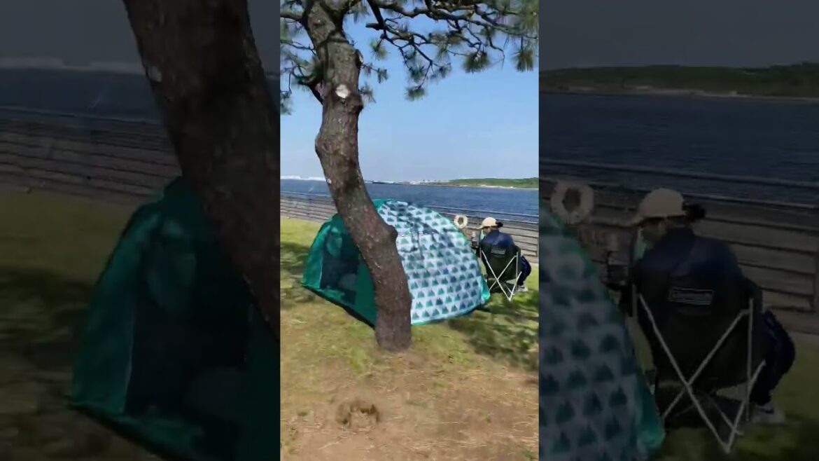 #Tokyo #travel to #fishing & #BBQ place.