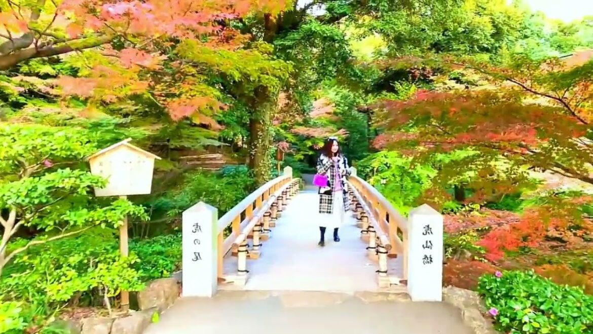 Nagoya tokugawaen garden 🇯🇵 in japan vlog | walking tour | #nature