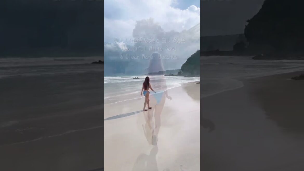 透明な海と白い砂が光る南伊豆のビーチ #shorts #bikini #beach