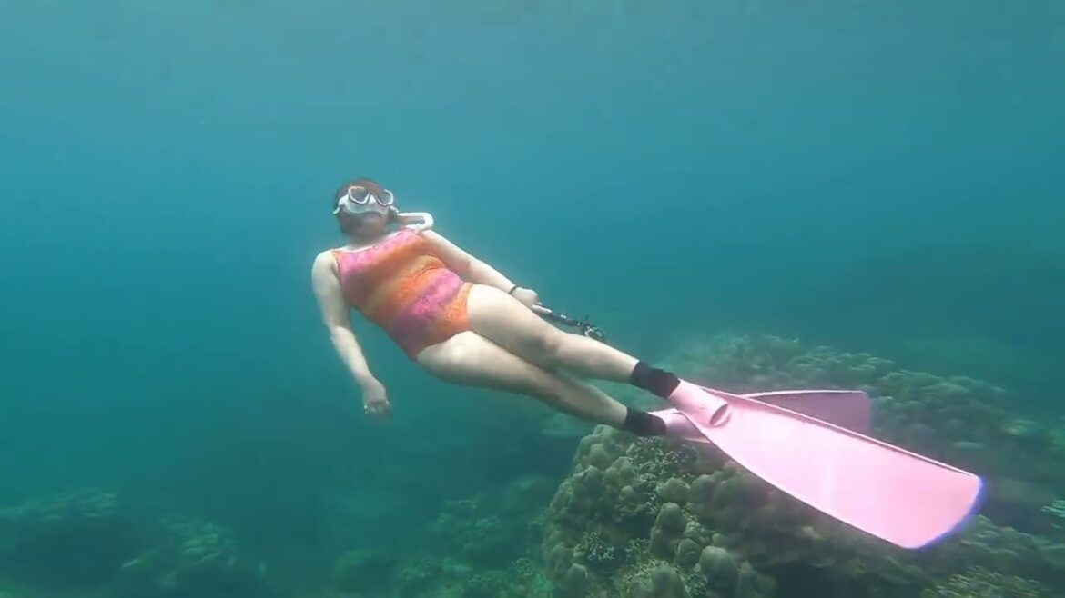 Luminous Labyrinths: Chronicles of the Coral Kingdoms