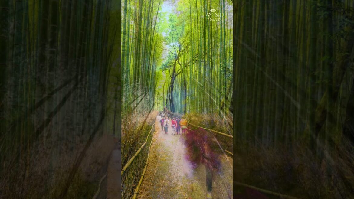 πΏπ KYOTO in 60 seconds – #japan πΏπ KYOTO in 60 seconds - #japan