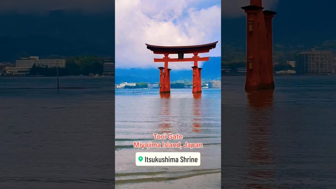 The Floating Torii Gate Miyajima Island