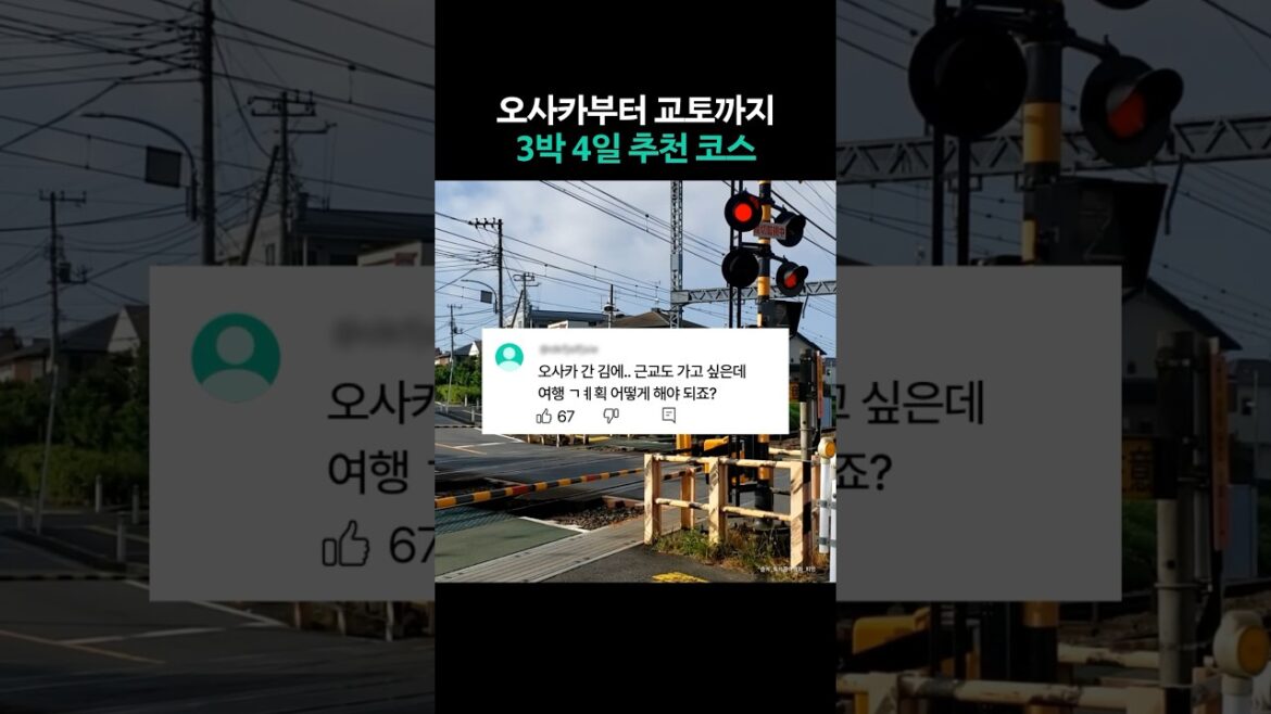 오사카 여행 교토까지 가고 싶다면? 당장 클릭하세요! #shorts #쇼츠