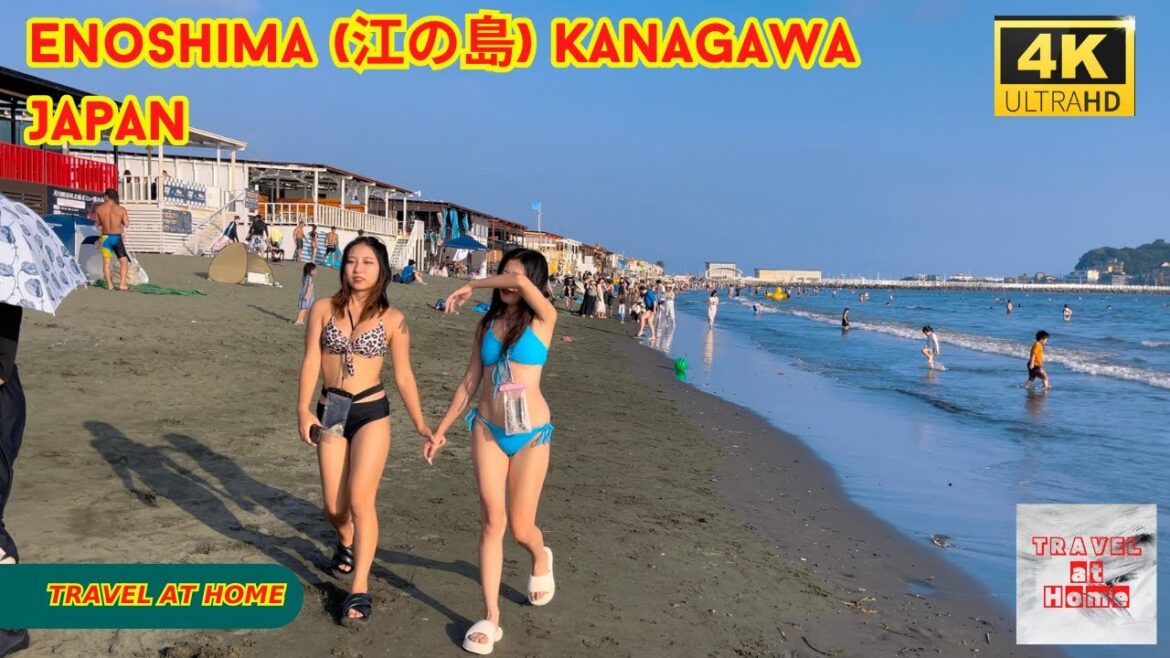 4k hdr japan travel | Walk in the beach of Enoshima (江の島) Kanagawa Japan |  Relaxing ambience