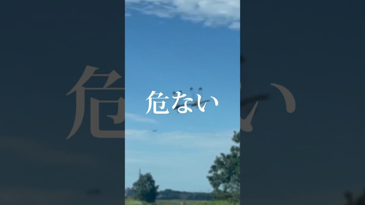 北海道ドライブしてたら怖すぎた「危ない！ぶつかる！」トンボの群れに恐怖 #vlog #shorts