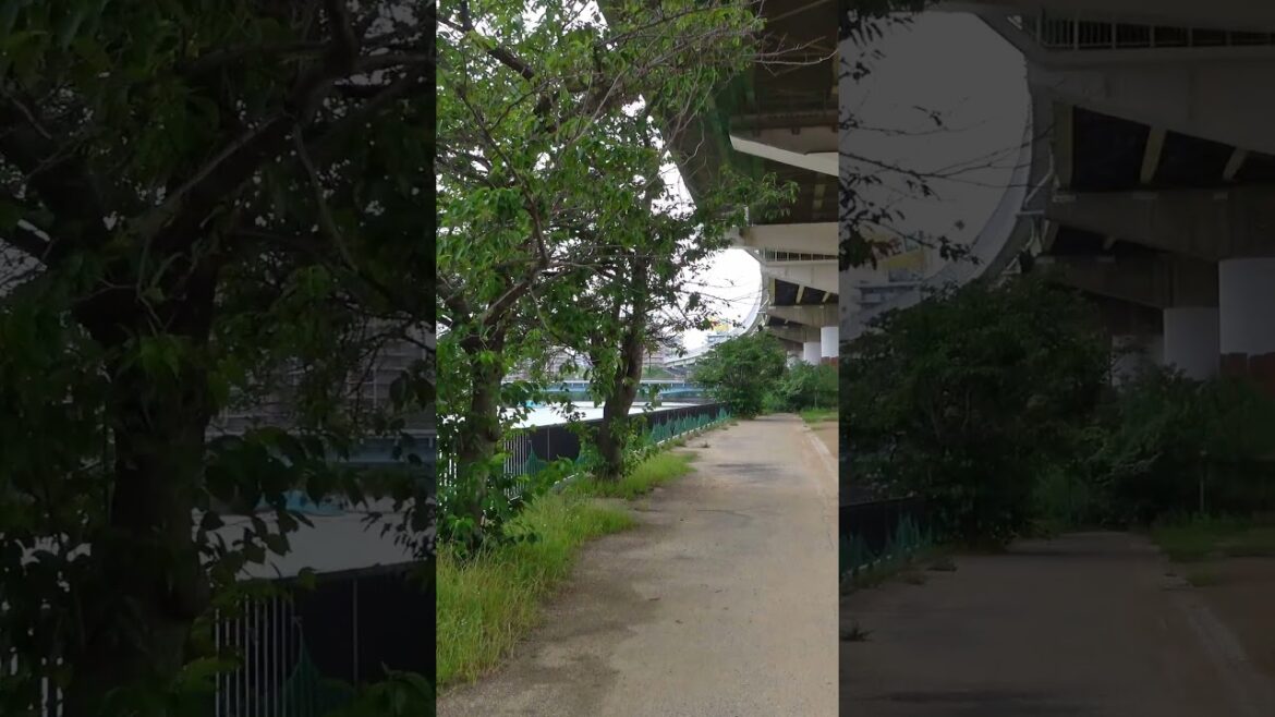 Take a walk from Tenjinbashisuji 6-chome Station - Osaka - 3 #shorts #walking #japantravel