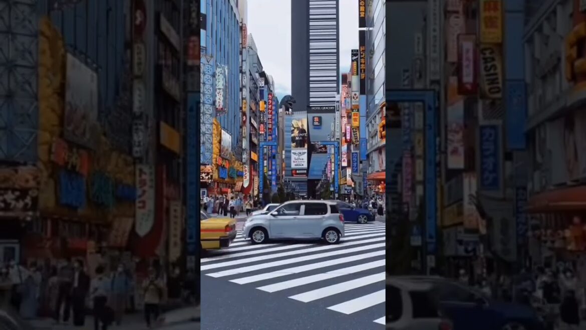 Tokyo Japan|India to Japan travel trip|first time in japan