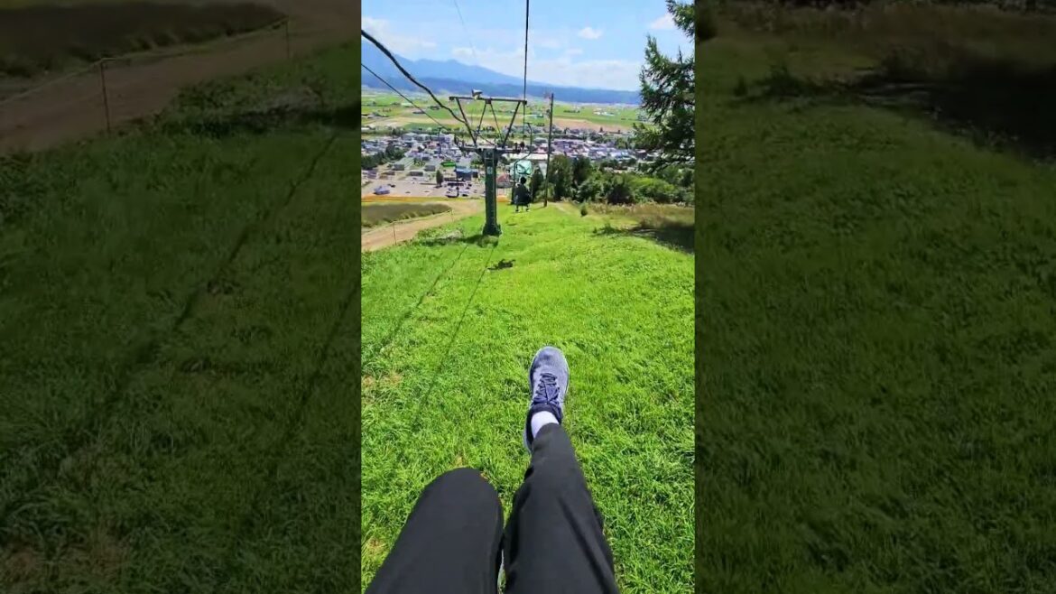 Summer in Furano Summer in Furano