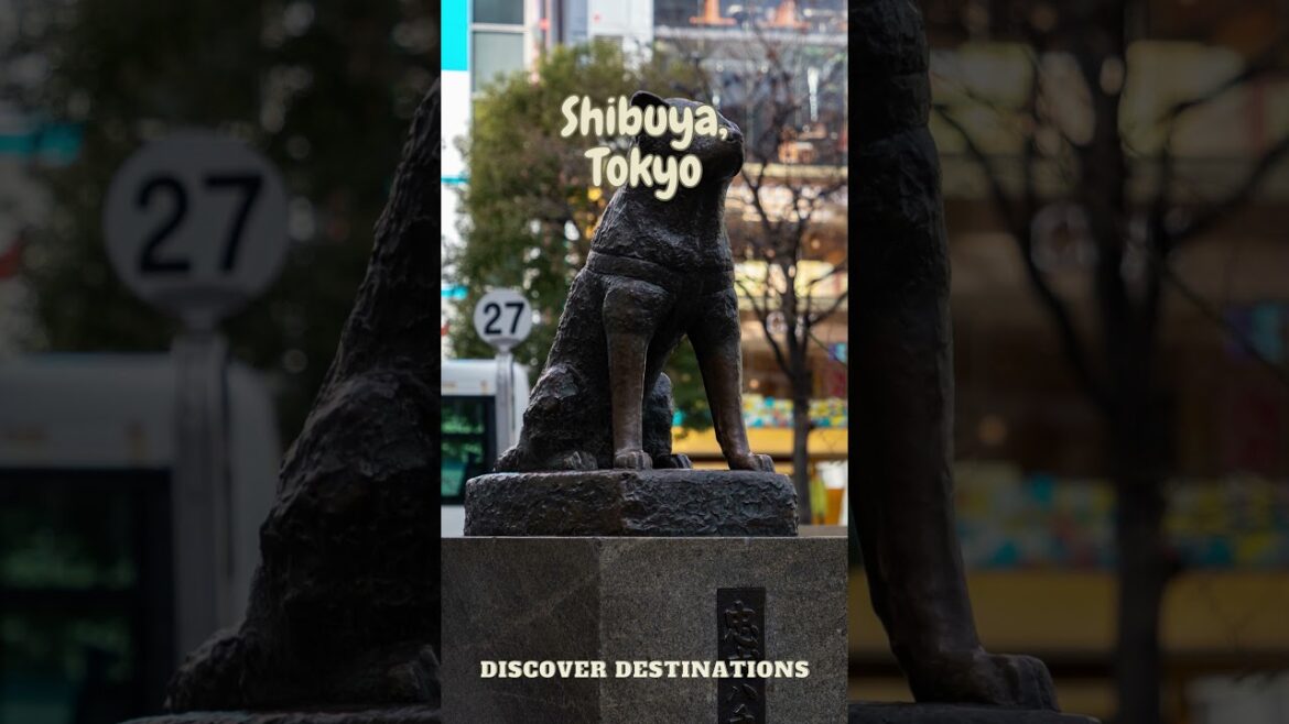 Activities to do in Shibuya, Tokyo #destinations #travel #discover