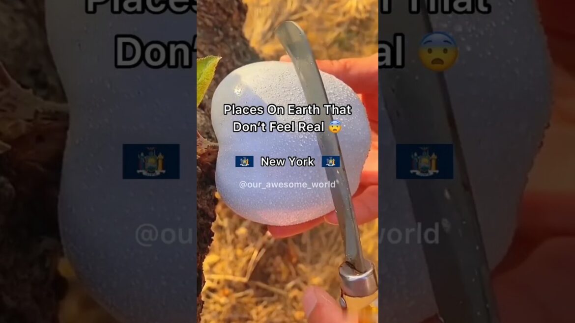 America🇺🇸 vs Japan🇯🇵 vs India🇮🇳 ~ Action Trends 😂 #priyalkukreja #shorts America🇺🇸 vs Japan🇯🇵 vs India🇮🇳 ~ Action Trends 😂 #priyalkukreja #shorts