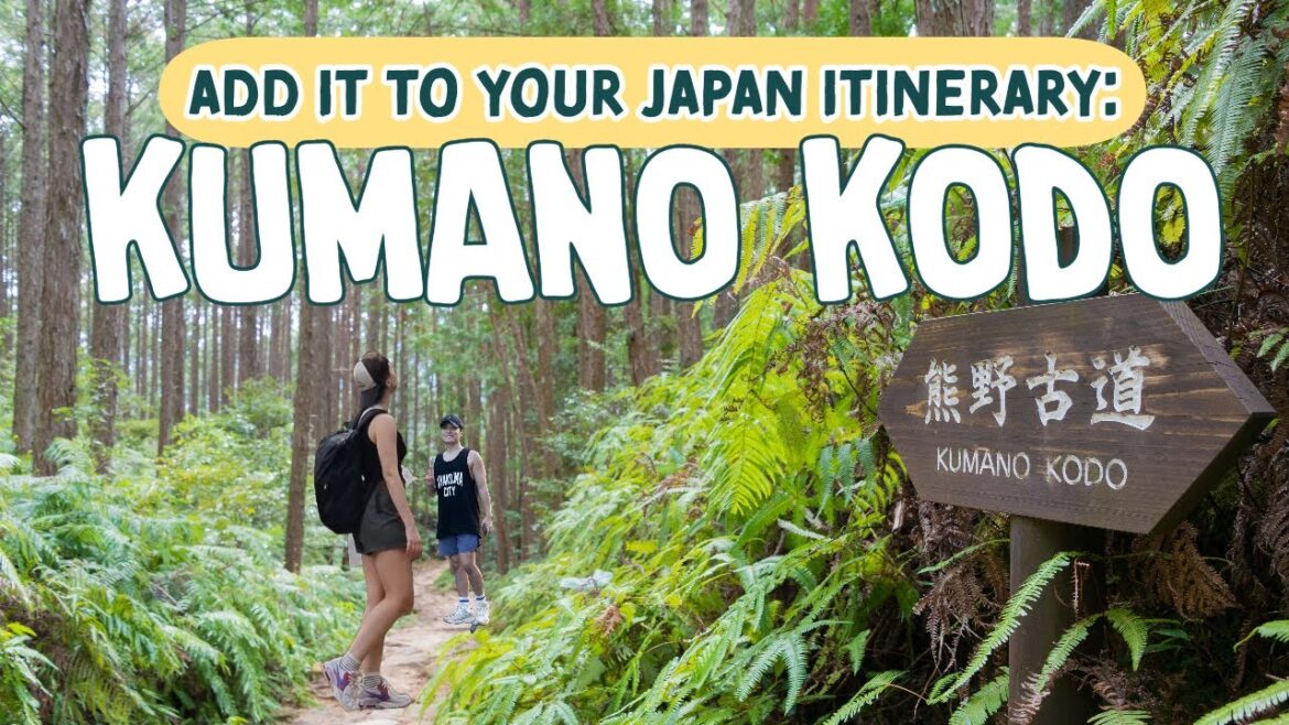 Walking the Kumano Kodo | 3 DAYS in Japan’s Sacred Pilgrimage Walking the Kumano Kodo | 3 DAYS in Japan's Sacred Pilgrimage