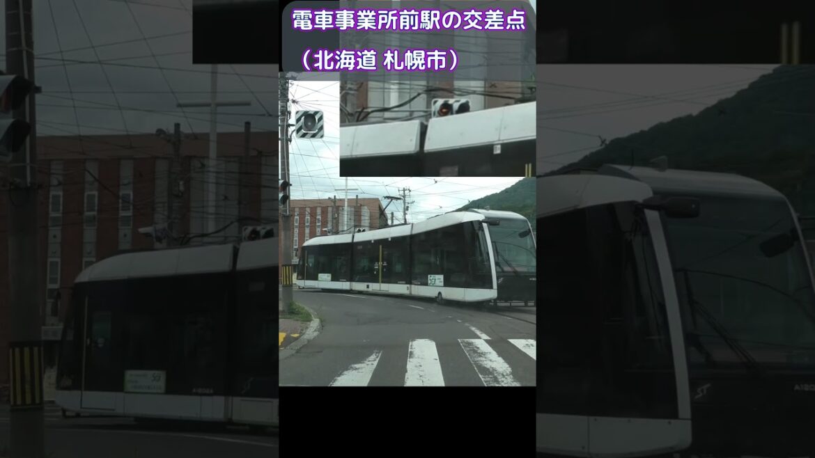 路面電車 黄色矢印信号（車両用信号から独立タイプ） [ #札幌市]