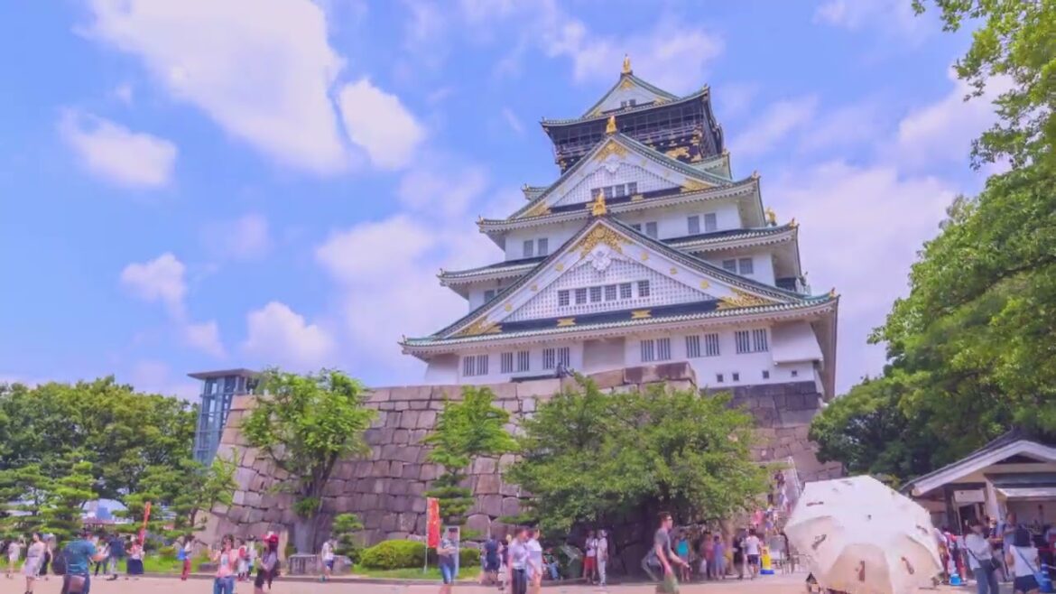 Osaka Castle Slow-mo ⛩️🏯