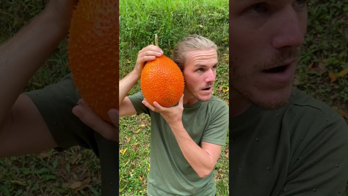 This fruit had a surprise inside… This fruit had a surprise inside…