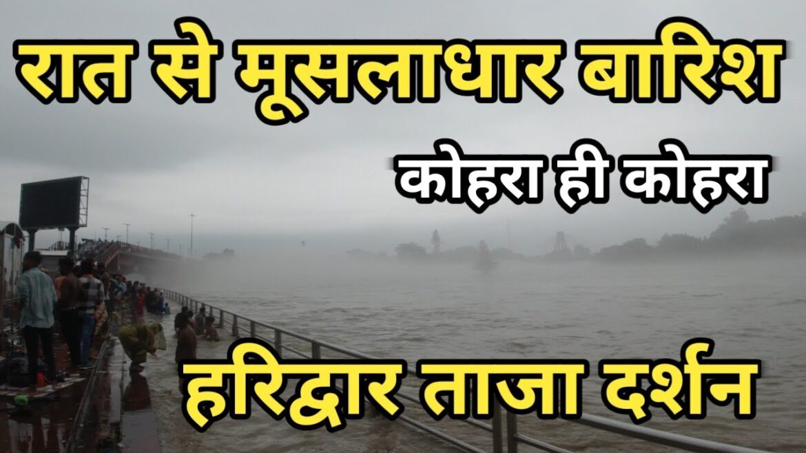 हरिद्वार में रात से मूसलाधार बारिश जारी || Haridwar Live Video || Har Ki Pauri Haridwar हरिद्वार में रात से मूसलाधार बारिश जारी || Haridwar Live Video || Har Ki Pauri Haridwar