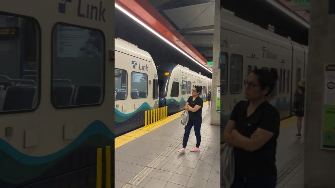 #train aa Gai Phir Sei 😂😂😂 #publictransport #travel #usa