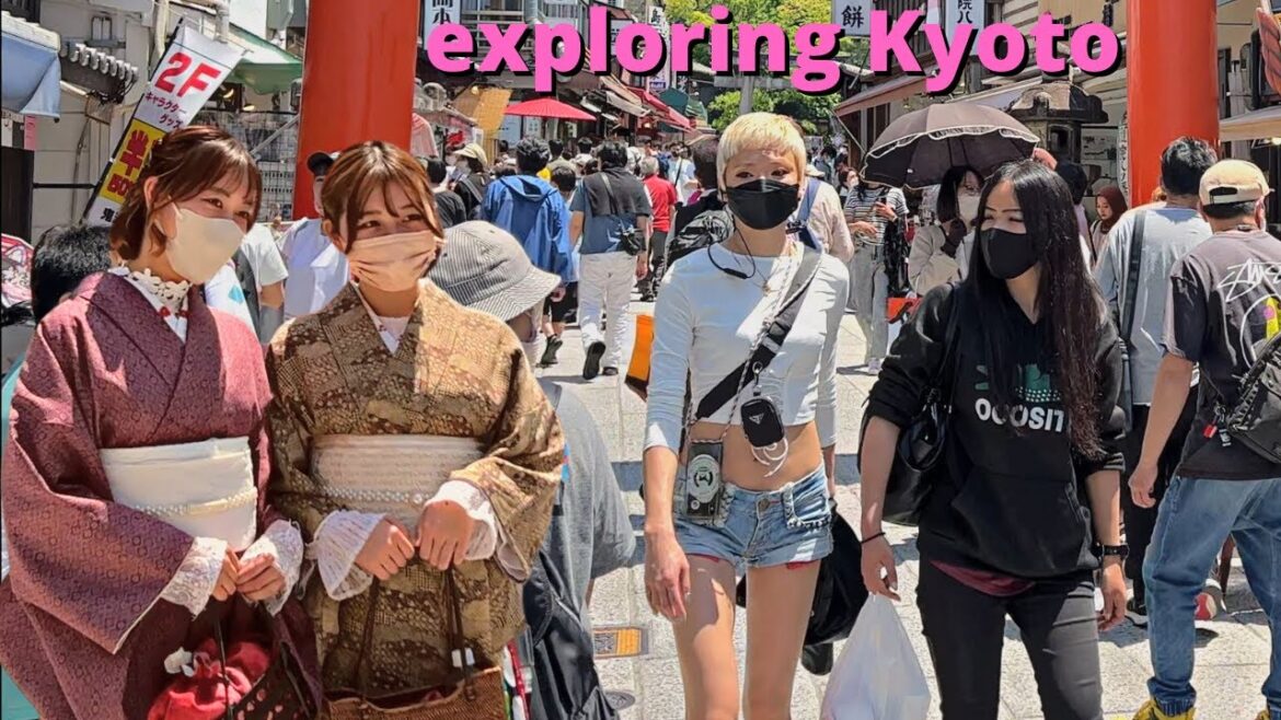 Japan’s Thousands Gate a paradise that Mesmerizes the travelers Japan's Thousands Gate a paradise that Mesmerizes the travelers